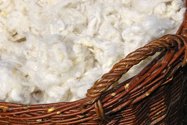 Exploring the Top Import Markets for Greasy Wool