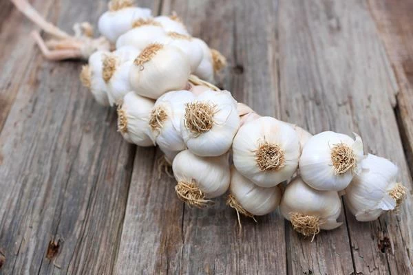Garlic Market - Australia: Interest for Local Garlic is Anticipated