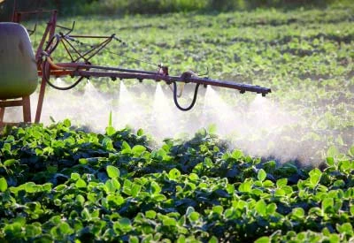 Poland Sees Price of Herbicide Drop to $10.9 per kg