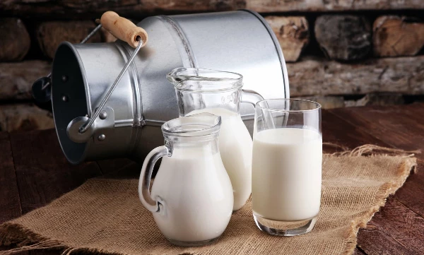 Milk Price in UK Peaks at $598 per Ton