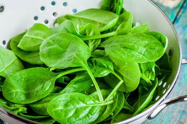 Canadian Spinach Sees 7% Price Surge, Reaching $3,370/Ton Following Three Straight Months of Growth