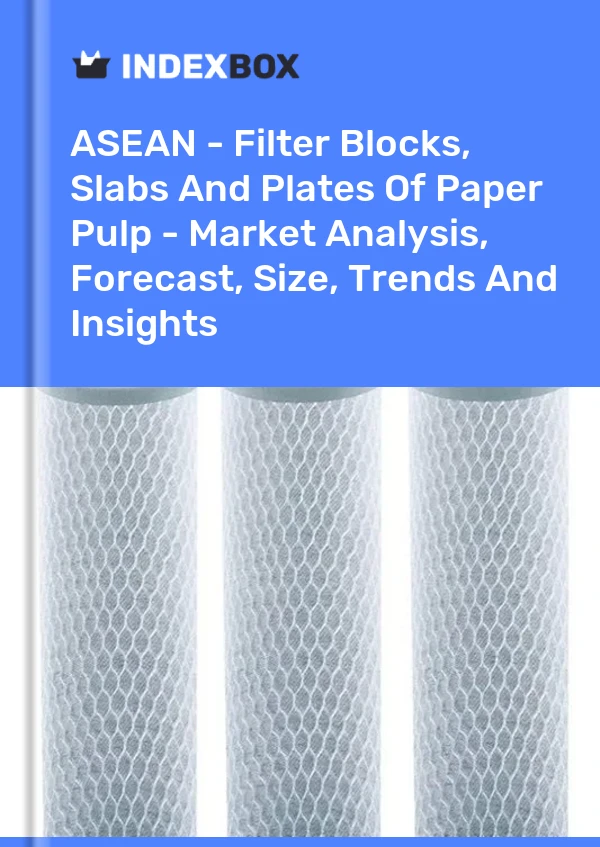 Report ASEAN - Filter Blocks, Slabs and Plates of Paper Pulp - Market Analysis, Forecast, Size, Trends and Insights for 499$