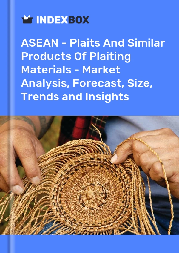 Report ASEAN - Plaits and Similar Products of Plaiting Materials - Market Analysis, Forecast, Size, Trends and Insights for 499$
