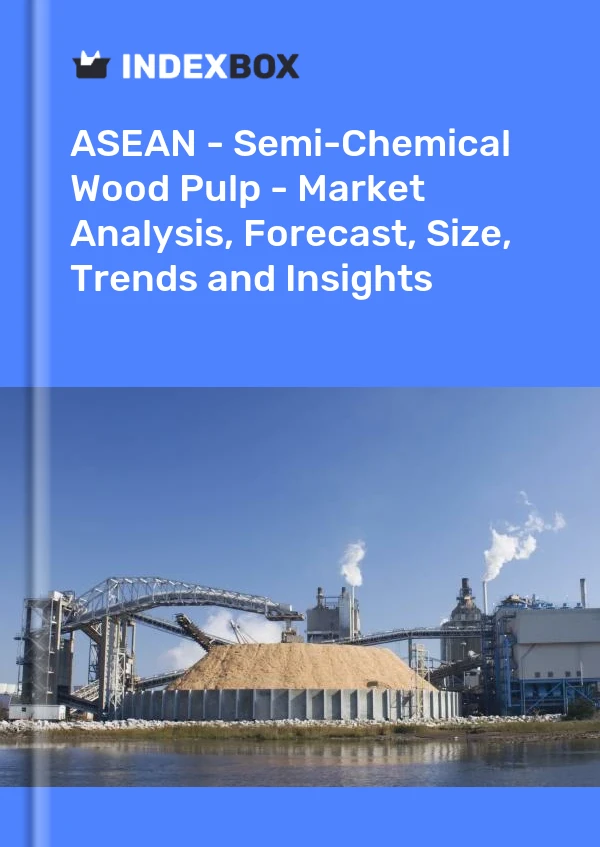 Report ASEAN - Semi-Chemical Wood Pulp - Market Analysis, Forecast, Size, Trends and Insights for 499$