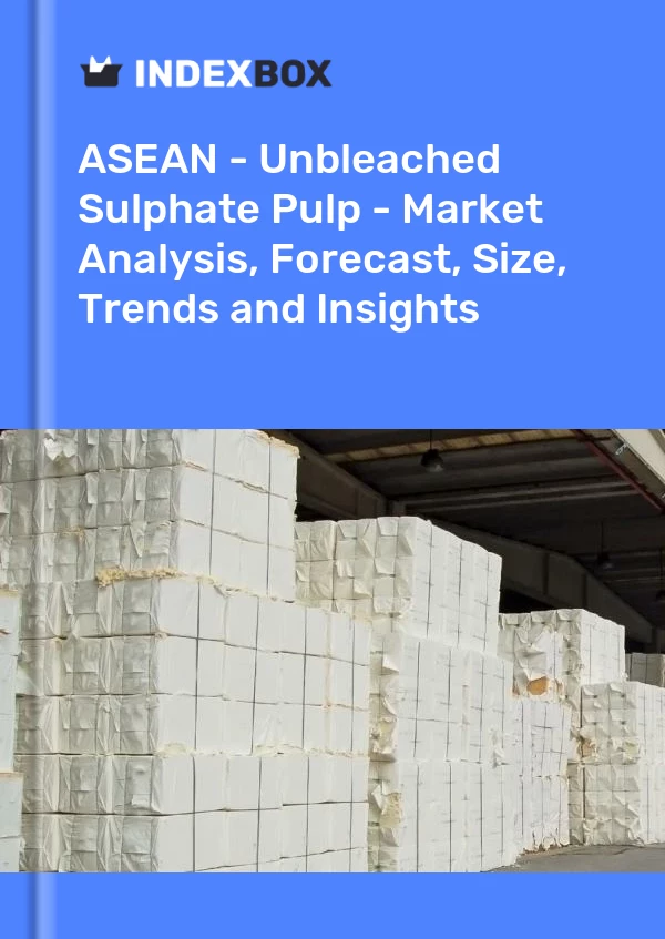 Report ASEAN - Unbleached Sulphate Pulp - Market Analysis, Forecast, Size, Trends and Insights for 499$