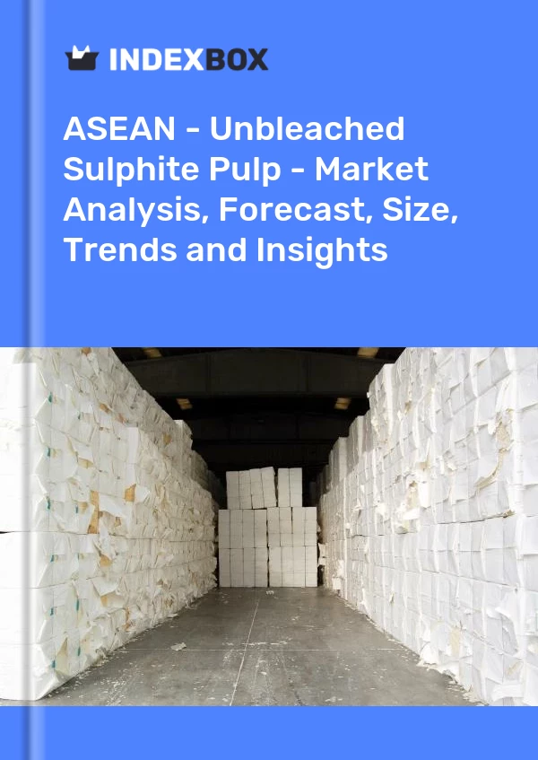 Report ASEAN - Unbleached Sulphite Pulp - Market Analysis, Forecast, Size, Trends and Insights for 499$