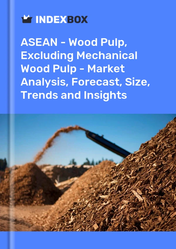 Report ASEAN - Wood Pulp, Excluding Mechanical Wood Pulp - Market Analysis, Forecast, Size, Trends and Insights for 499$