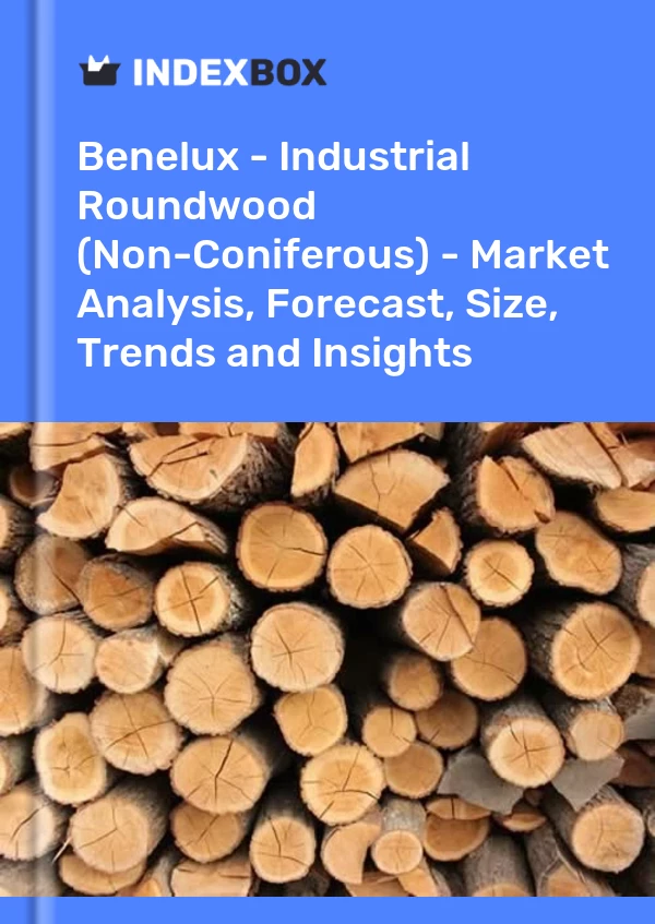 Report Benelux - Industrial Roundwood (Non-Coniferous) - Market Analysis, Forecast, Size, Trends and Insights for 499$