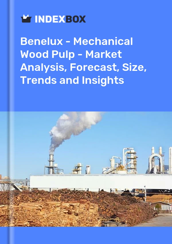 Report Benelux - Mechanical Wood Pulp - Market Analysis, Forecast, Size, Trends and Insights for 499$