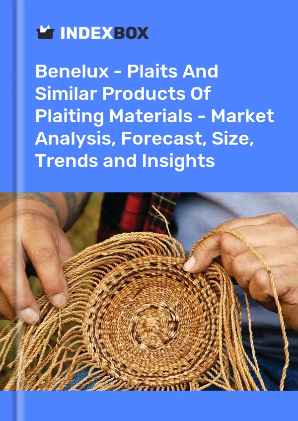 Report Benelux - Plaits and Similar Products of Plaiting Materials - Market Analysis, Forecast, Size, Trends and Insights for 499$