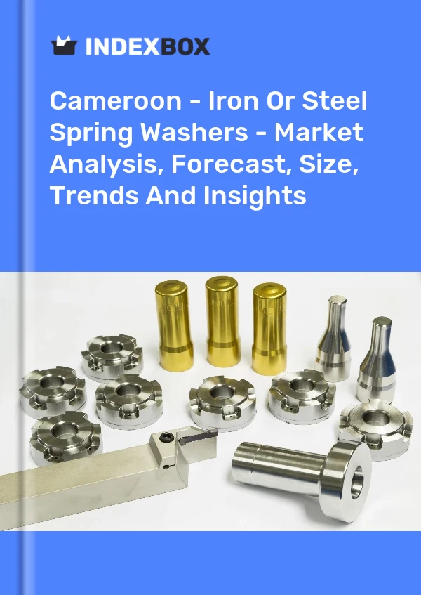 Report Cameroon - Iron or Steel Spring Washers - Market Analysis, Forecast, Size, Trends and Insights for 499$