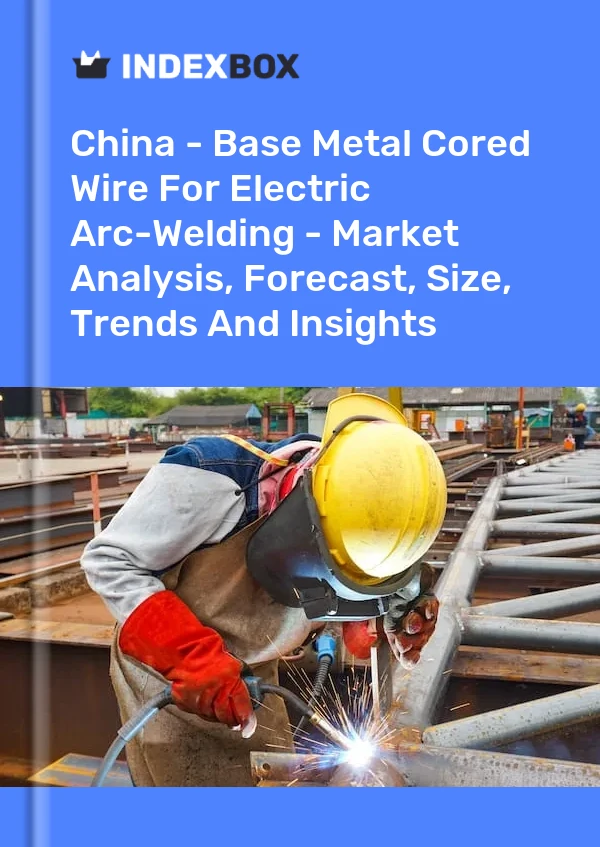Informe China - Alambre con núcleo de metal base para soldadura por arco eléctrico - Análisis de mercado, pronóstico, tamaño, tendencias e información for 499$