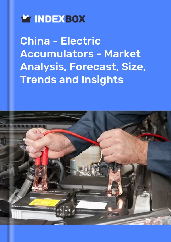 Report China - Electric Accumulators - Market Analysis, Forecast, Size, Trends and Insights for 499$
