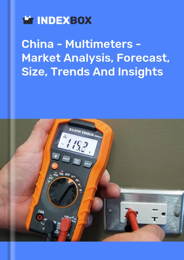 Informe China - Multímetros - Análisis de mercado, pronóstico, tamaño, tendencias e información for 499$