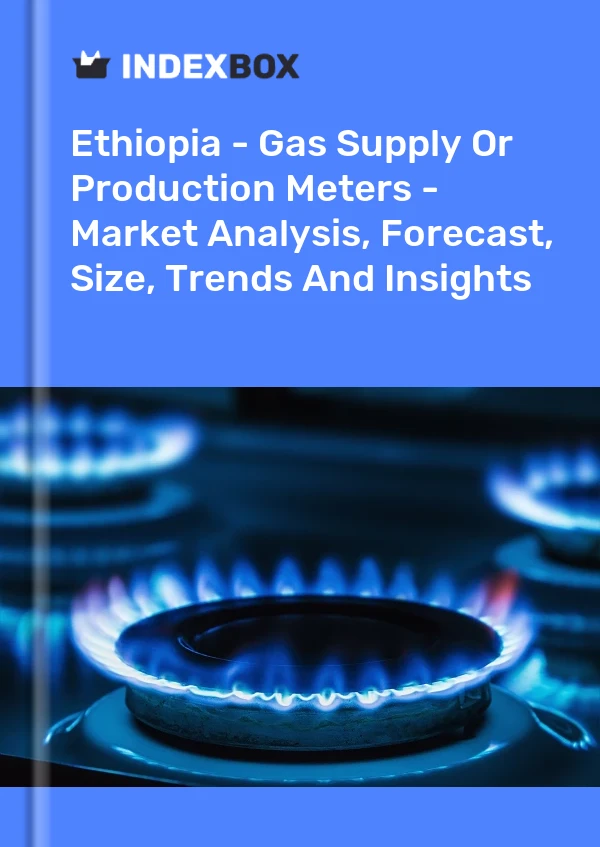Report Ethiopia - Gas Supply or Production Meters - Market Analysis, Forecast, Size, Trends and Insights for 499$