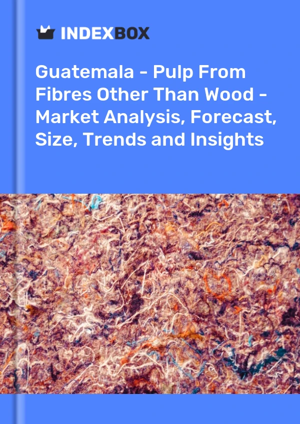 Report Guatemala - Pulp From Fibres Other Than Wood - Market Analysis, Forecast, Size, Trends and Insights for 499$