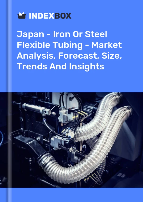 Informe Japón - Tubería flexible de hierro o acero - Análisis de mercado, pronóstico, tamaño, tendencias e información for 499$