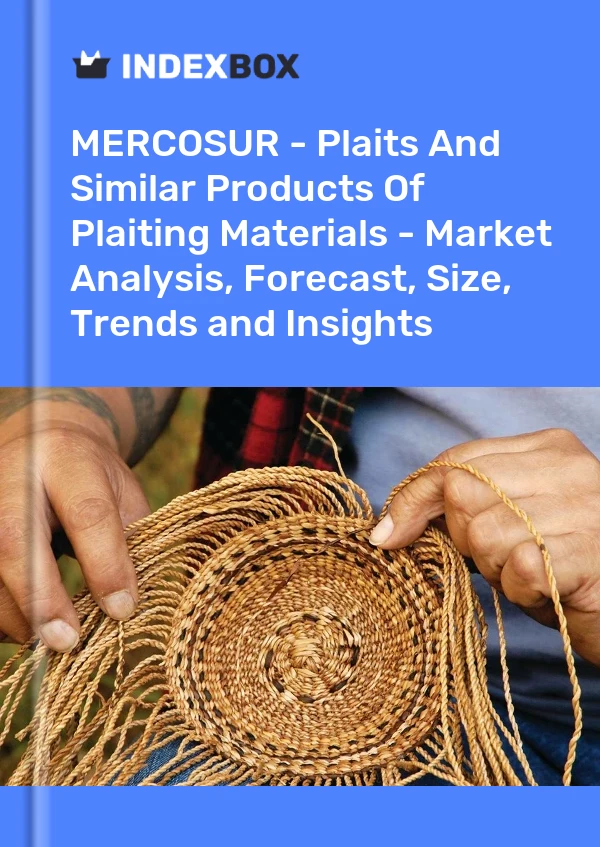 Report MERCOSUR - Plaits and Similar Products of Plaiting Materials - Market Analysis, Forecast, Size, Trends and Insights for 499$