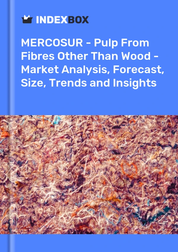 Report MERCOSUR - Pulp From Fibres Other Than Wood - Market Analysis, Forecast, Size, Trends and Insights for 499$