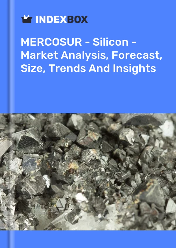 Report MERCOSUR - Silicon - Market Analysis, Forecast, Size, Trends and Insights for 499$
