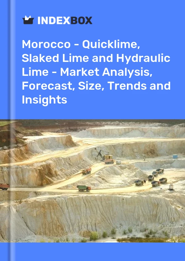 Report Morocco - Quicklime, Slaked Lime and Hydraulic Lime - Market Analysis, Forecast, Size, Trends and Insights for 499$