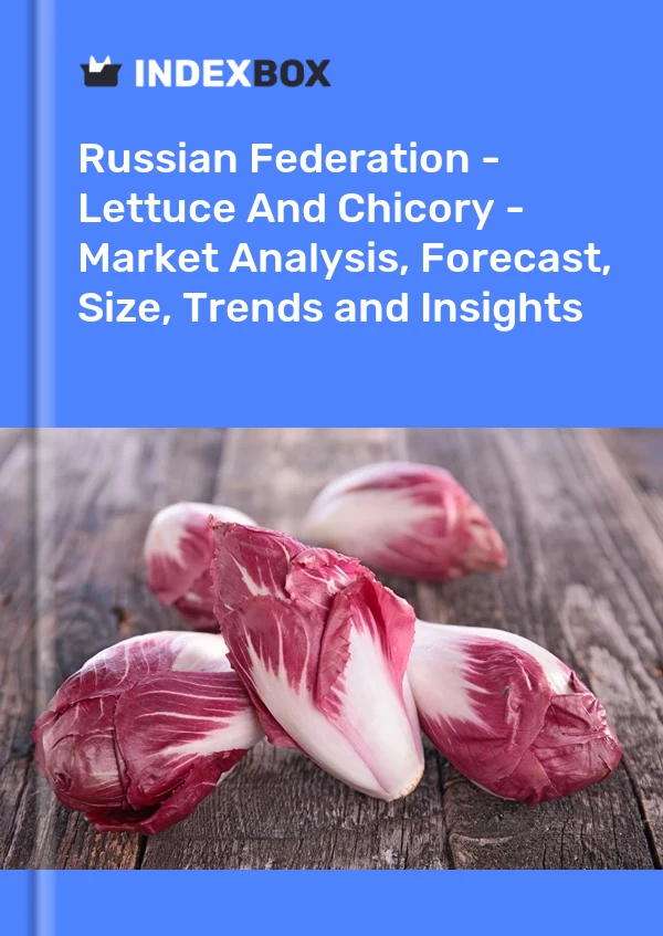 Report Russian Federation - Lettuce and Chicory - Market Analysis, Forecast, Size, Trends and Insights for 499$