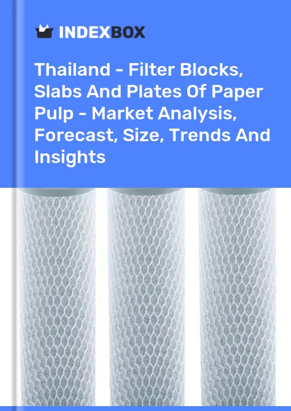 Informe Tailandia - Filtros de bloques, losas y placas de pulpa de papel: análisis de mercado, pronóstico, tamaño, tendencias e información for 499$