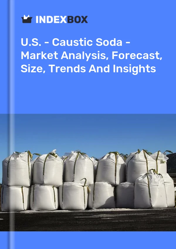 Informe EE. UU. - Soda cáustica - Análisis de mercado, pronóstico, tamaño, tendencias e información for 499$