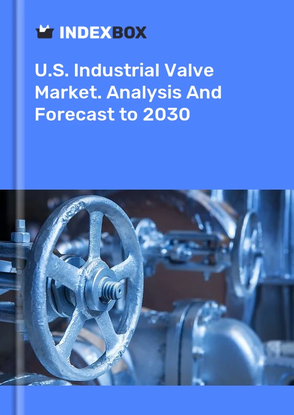 Informe U.S. Industrial Valve Market. Analysis and Forecast to 2025 for 499$