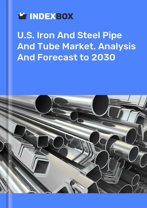 Informe U.S. Iron and Steel Pipe and Tube Market. Analysis and Forecast to 2025 for 499$