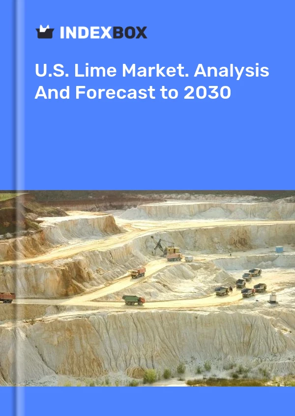 Informe U.S. Lime Market. Analysis and Forecast to 2025 for 499$