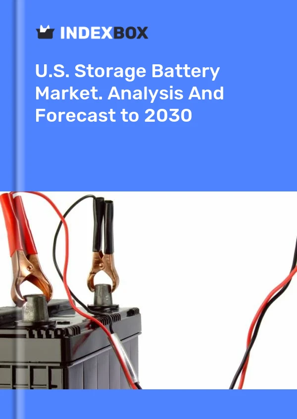 Informe U.S. Storage Battery Market. Analysis and Forecast to 2025 for 499$