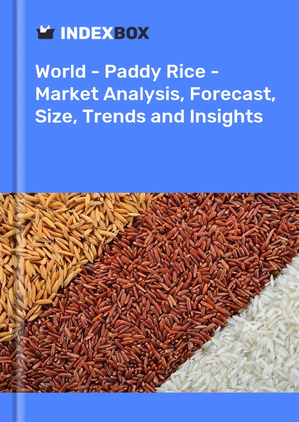 Report World - Paddy Rice - Market Analysis, Forecast, Size, Trends and Insights for 499$