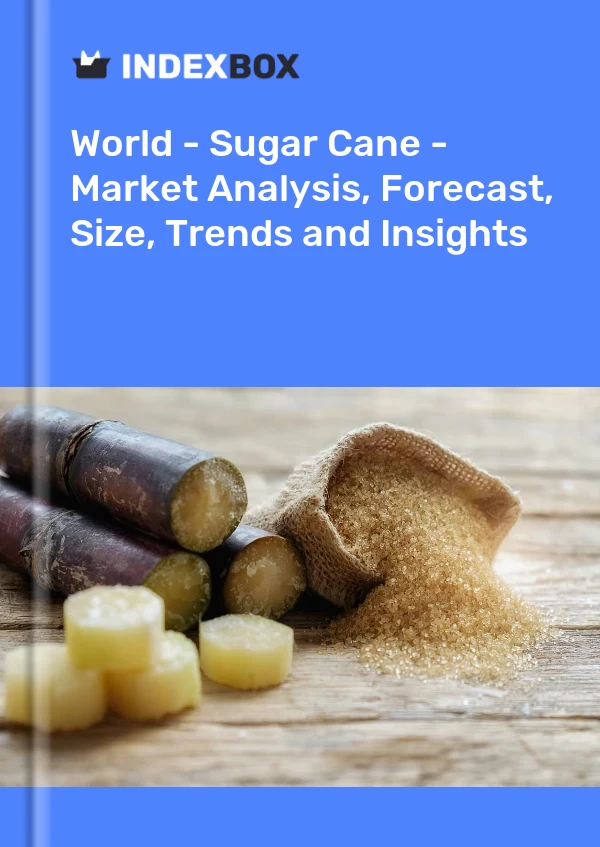 Informe Mundo – Caña de azúcar – Análisis de mercado, pronóstico, tamaño, tendencias y conocimientos for 499$